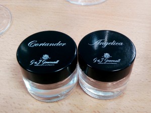 Botánicos del gin