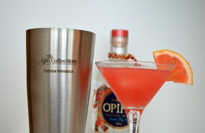 Coctel con Gin