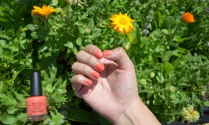 Colores Manicura verano