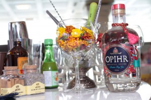 THE GIN COLLECTION